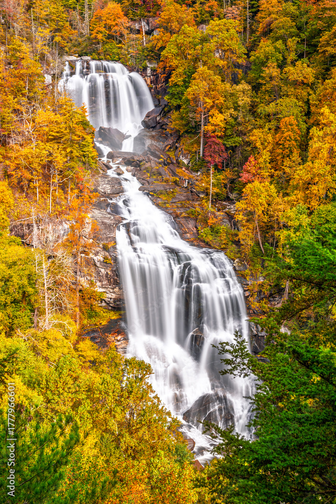 Obraz premium Whitewater Falls, North Carolina, USA in Autumn 825