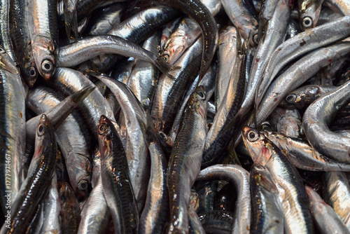 Fresh anchovies closely stacked together at fish market.
