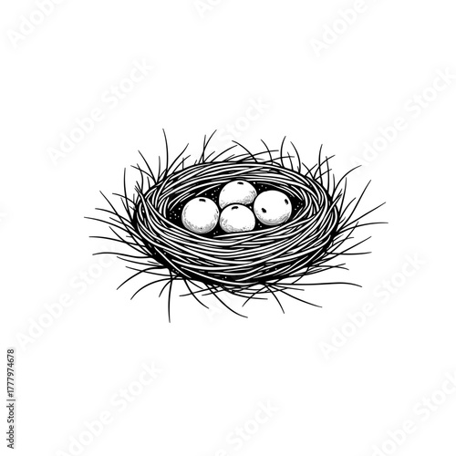 Nest with four eggs surrounded by grass in a simple design  