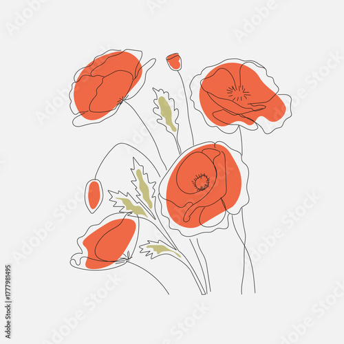 Minimalist line drawing of red poppies. Modern line art, natural beauty, style, delicacy, spring, floral design, botanical illustration.