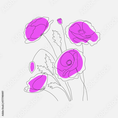 Linear drawing of purple poppies in a minimalist style. Modern line art, delicate flowers, flora, spring, botanical illustration, style, elegance.