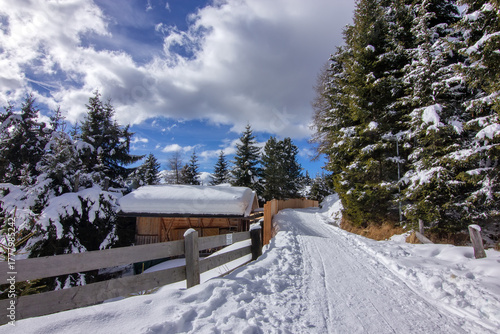 Wallpaper Mural traditional wooden chalet or cabin nestled on a snowy slope, in the Austrian Alps Torontodigital.ca