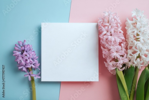 Colorful Hyacinth Flowers With Blank Card on Pastel Background for Spring Dec...