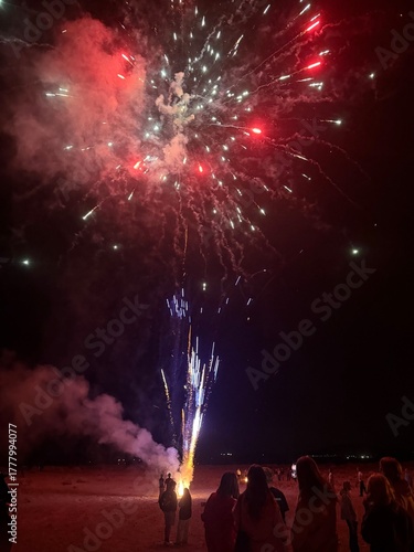 fireworks in the sky
