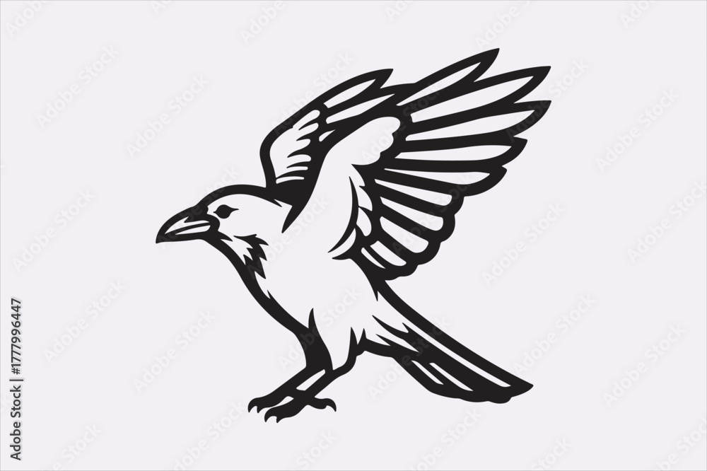 Fototapeta premium Line art crow bird design art