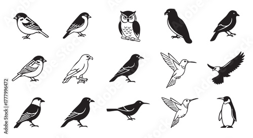Vector seamless pattern of birds illustration with different species