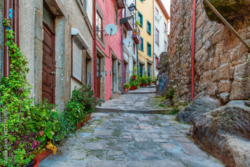 Tableau sur toile Steep cobblestone alley with colorful houses and green potted plants in Porto city, Portugal