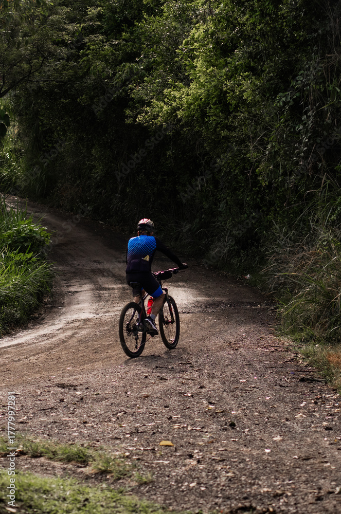 Fototapeta premium Ciclista en camino rural rodeado de naturaleza verde