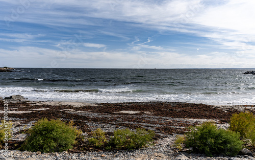 Rustic Maine Beach