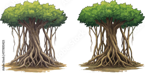 Ancient banyan trees with hanging aerial roots, lush green leaves, strong trunk, tropical forest nature concept, environmental illustration art