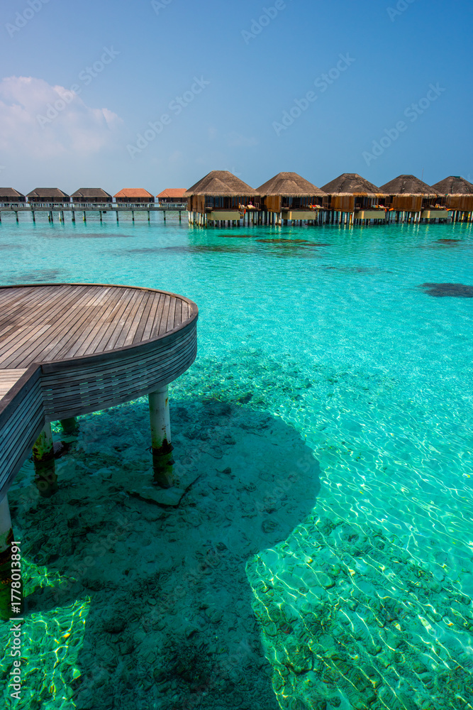 Fototapeta premium Tranquil closeup calm sea water waves with palm trees. Bungalows background. Tropical island beach landscape exotic shore coast. Summer vacation, holiday amazing nature. Relax paradise, Maldives.