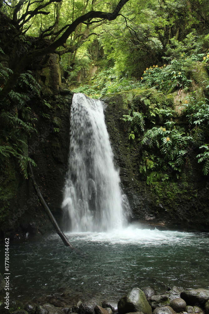 Obraz premium waterfall in the forest