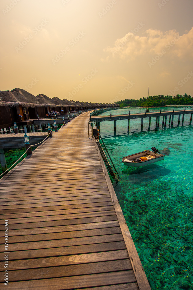 Fototapeta premium Tranquil closeup calm sea water waves with palm trees. Beautiful Sunset Panorama, Tropical island beach landscape exotic shore coast. Summer vacation, holiday amazing nature. Relax paradise, Maldives.