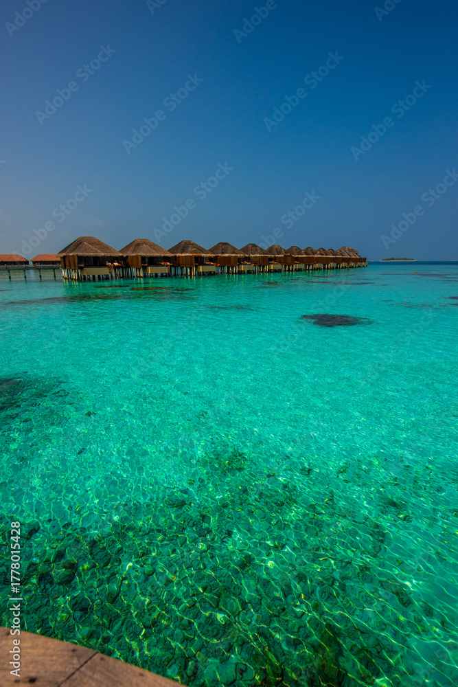 Fototapeta premium Tranquil closeup calm sea water waves with palm trees. Bungalows background. Tropical island beach landscape exotic shore coast. Summer vacation, holiday amazing nature. Relax paradise, Maldives.