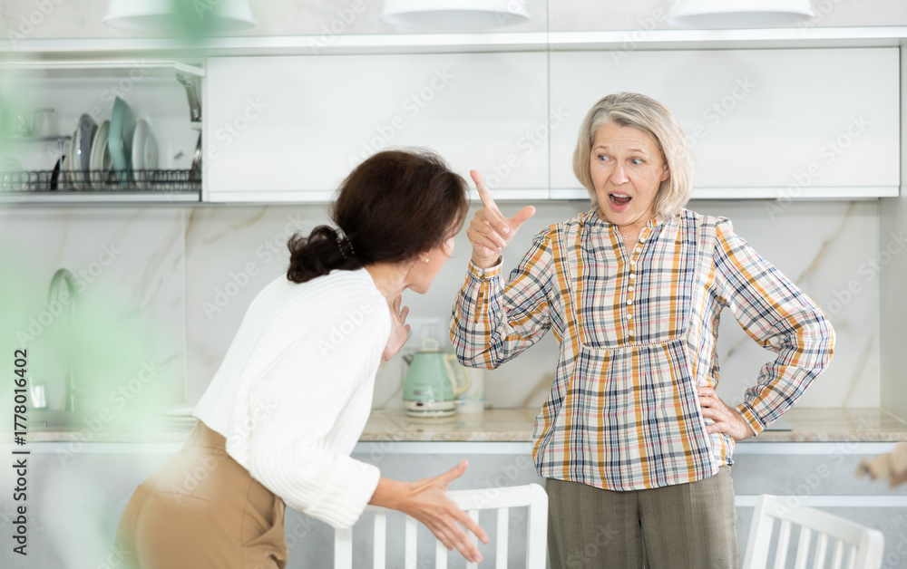 Fototapeta premium Relatives quarrel in the kitchen - an adult daughter quarrels with an elderly mother