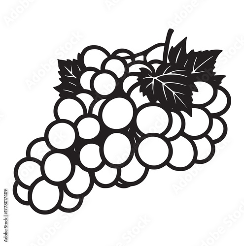grape fruit vector on white background