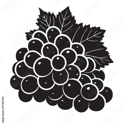 grape fruit vector on white background