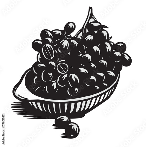 grape fruit vector on white background