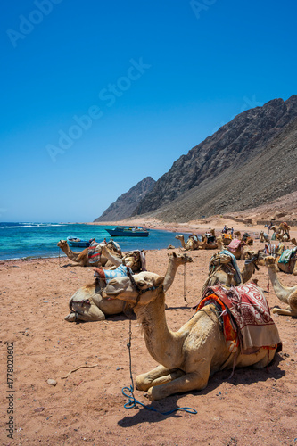 Canvas Print Sharm el-Sheikh