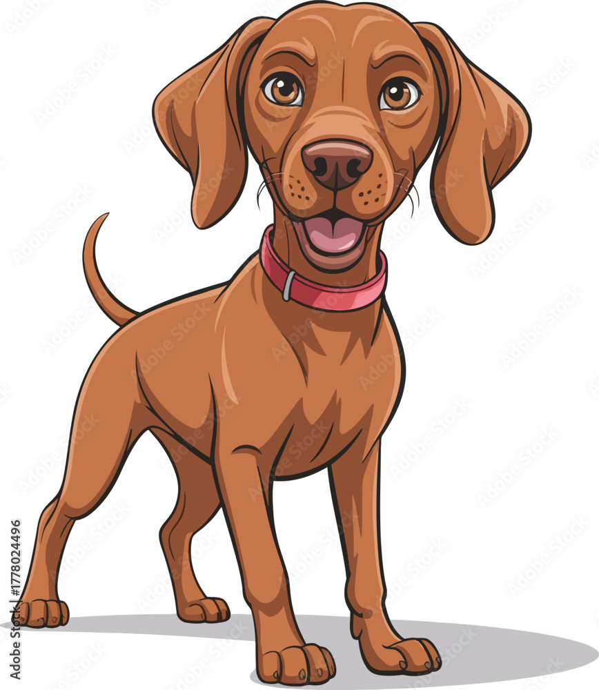 Fototapeta premium Cute cartoon a illustrator vector Vizsla