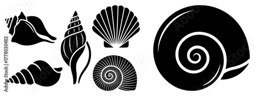 Set of Seashell Icons. Vector Black Silhouette Collection of Marine Shells.