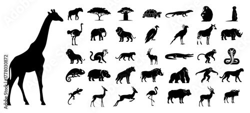 African Safari Animals Silhouette Set Wildlife Icons Vector Collection