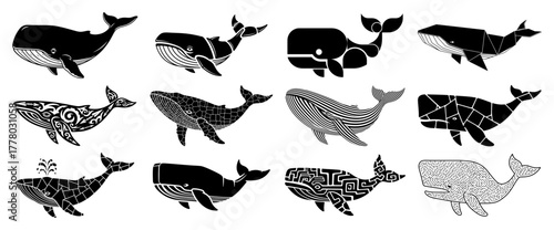 Collection of Stylized Whales with Abstract Patterns. Decorative Marine Mammal Vector Set.