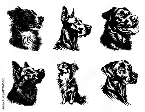 Dog Breeds Portraits Set Detailed Canine Heads Vector Line Art Illustration