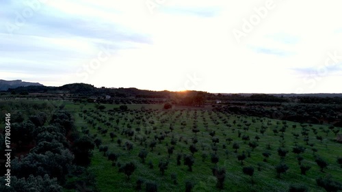 Plano aéreo captado con dron al atardecer sobre un extenso campo de viñedos. La luz cálida del sol se oculta tras las colinas, iluminando las hileras de plantas con tonos dorados y verdes. 