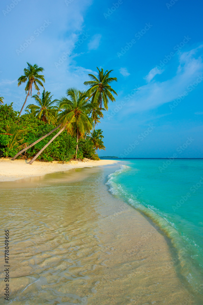 Fototapeta premium Tranquil closeup calm sea water waves with palm trees. Beautiful Panorama, Tropical island beach landscape exotic shore coast. Summer vacation, holiday amazing nature. Relax paradise, Maldives.