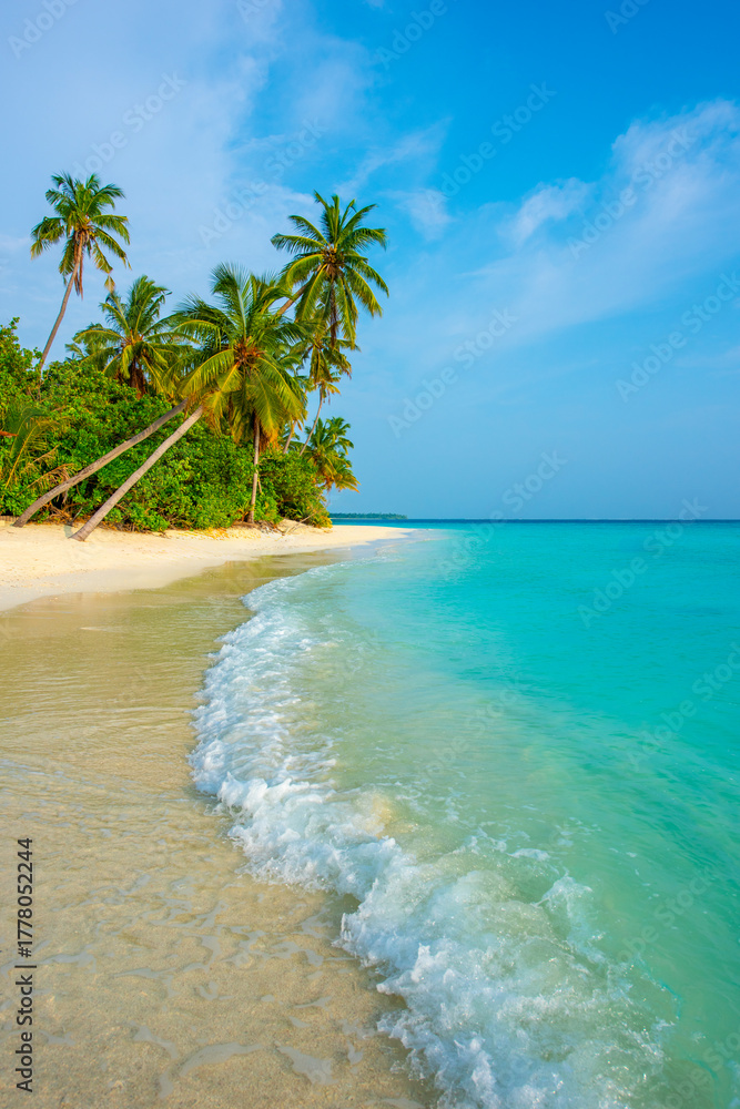 Fototapeta premium Tranquil closeup calm sea water waves with palm trees. Beautiful Panorama, Tropical island beach landscape exotic shore coast. Summer vacation, holiday amazing nature. Relax paradise, Maldives.