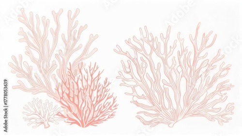 Delicate coral illustrations in various sizes, in pink hues against a white background