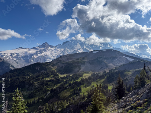 Spectacular view of pine trees and glaciers mountains in Mount Rainier National Park.USA, Washington.USA, Washington july 22 2025.