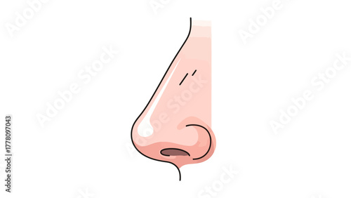 A cartoon drawing of a human nose in profile
