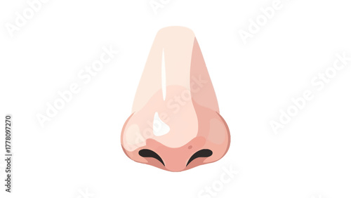A cartoon illustration of a human nose