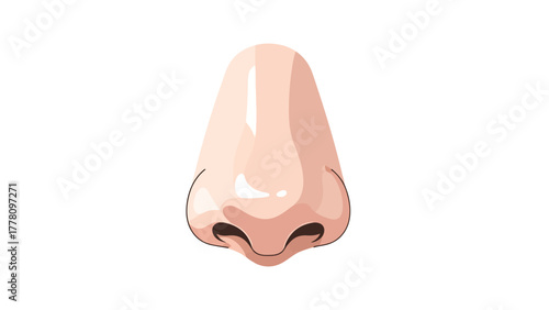 A cartoon illustration of a human nose on a white background