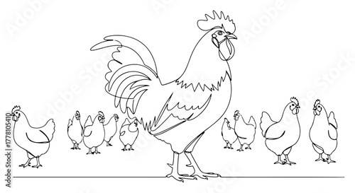 Rooster with a flock of hens continuous one line drawing. Farm poultry birds family vector illustration.