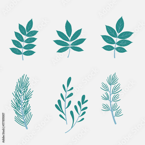 Minimalist Winter Greenery Vector Collection, Flat Design Leaves, Holly and Berries for Christmas Invitation, Poster or Background.