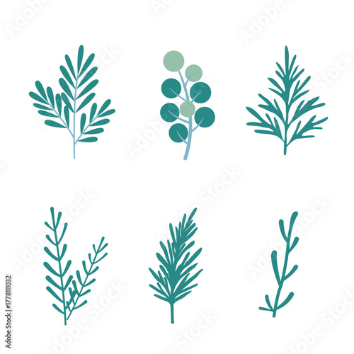 Winter Leaves and Berries Vector Bundle, Evergreen Foliage Elements for Christmas Decoration, Editable Flat Botanical Illustration