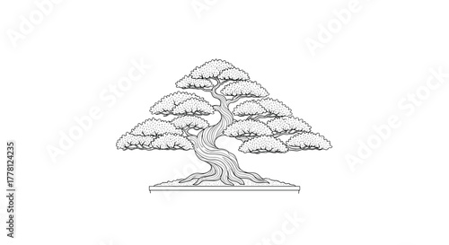 Illustration of a bonsai tree with detailed leaves and a swirling trunk in a pot