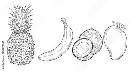 Illustration of a pineapple banana coconut and mango in black and white line art