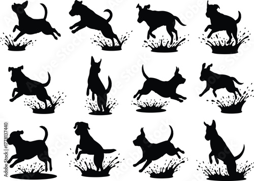 Dog silhouette, jumping dog, leaping pet, water splash, playful canine, energetic dog, black silhouette, dog motion, breed variety, agility, dog action, splash effect, dog in air, active pet, dog 