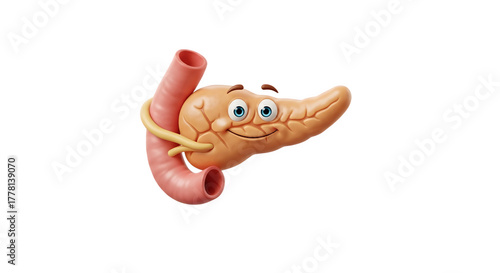 Cartoon Pancreas Organ Illustration Anatomy.