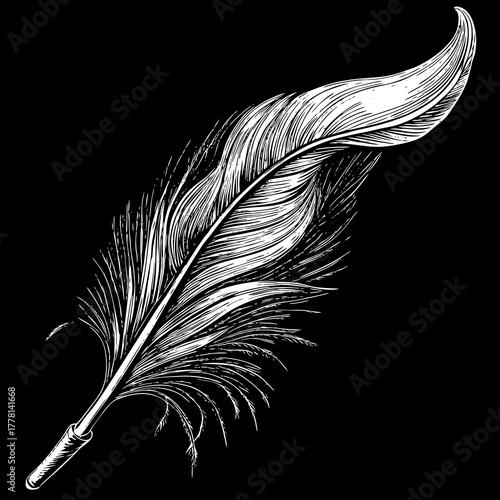 Elegant white quill feather drawing on a black background
