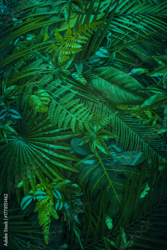 Golden rainforest leaves with warm sunlight and tropical glow