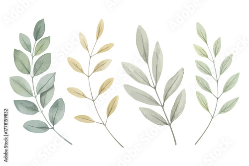 Delicate watercolor illustrations of four diverse leafy branches on a clean white background
