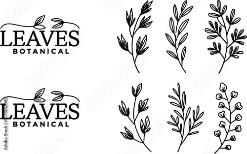 Elegant hand drawn botanical leaves and decorative flourishes for sophisticated design projects