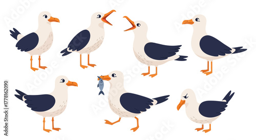 Seven cartoon seagulls in various poses: standing, calling, eating fish, and looking around, isolated on a white background.