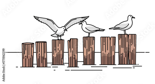 Three seagulls perched on wooden posts, one with wings spread, against a white background, in a line drawing style.