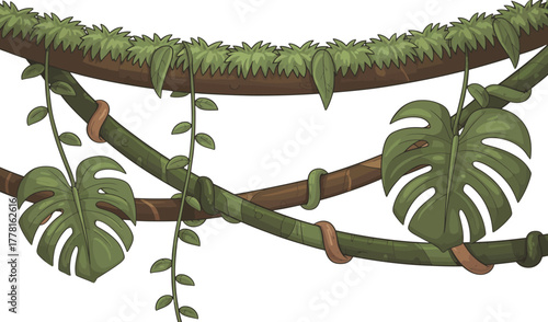 Lush green jungle vines and large monstera leaves hanging from tropical rainforest branches